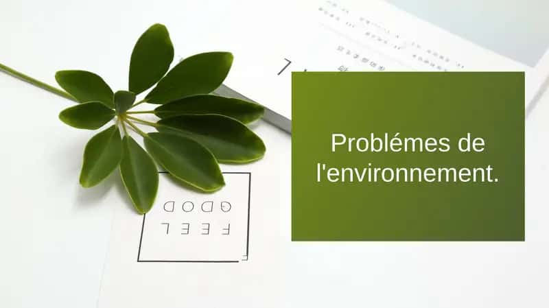Problémes de l'environnement