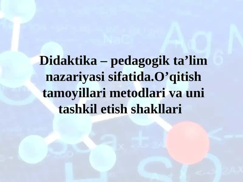 Didaktika