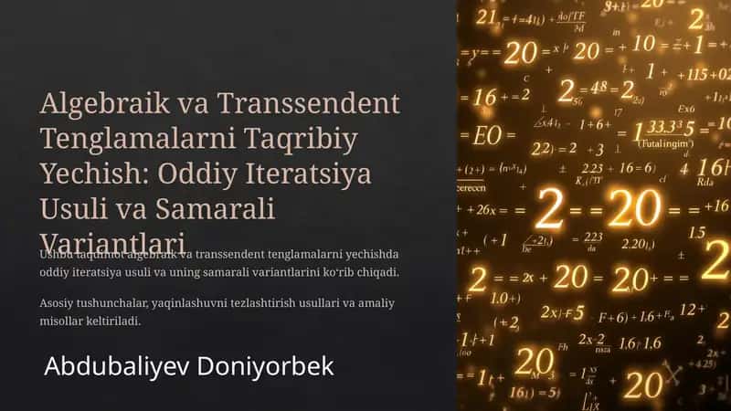 Algebraik va Transsendent Tenglamalarni Taqribiy Yechish: Oddiy Iteratsiya Usuli va Samarali Variantlari