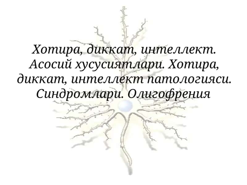 Хотира