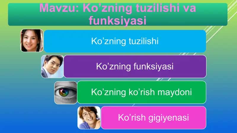 Ko’zning tuzilishi va funksiyasi