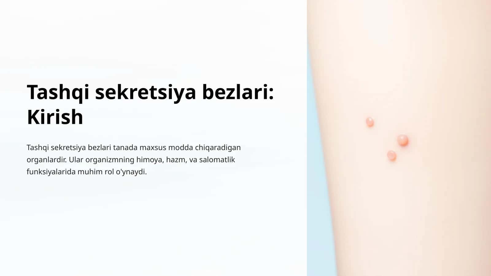 Tashqi sekretsiya bezlari: Kirish