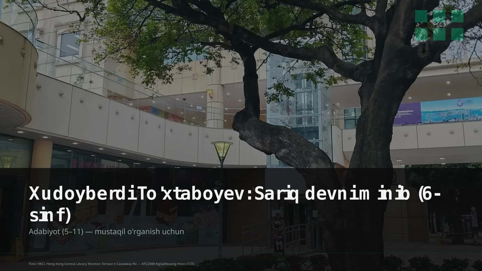 Sariq devni minib (6-sinf)