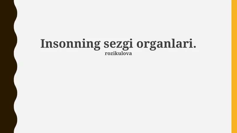 Insonning sezgi organlari