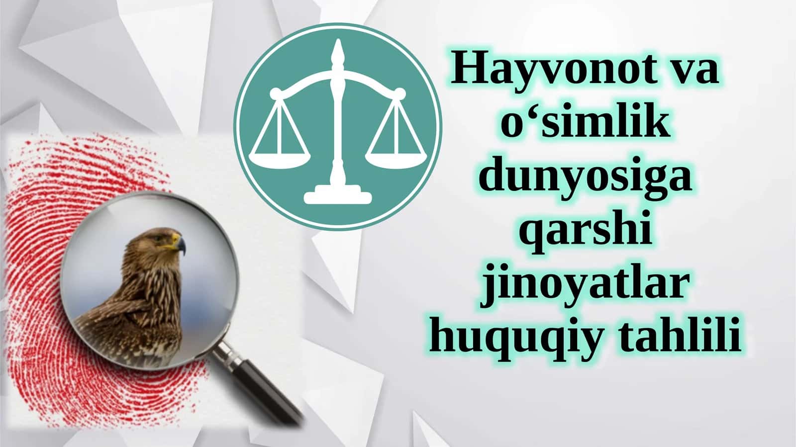 Hayvonotvao‘simlikdunyosigaqarshijinoyatlarhuquqiytahlili