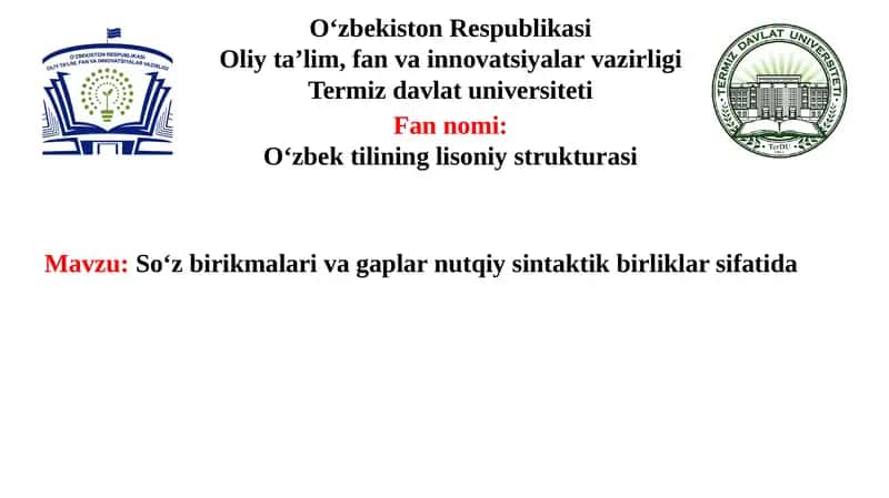 Soʻz birikmalari va gaplar nutqiy sintaktik birliklar sifatida