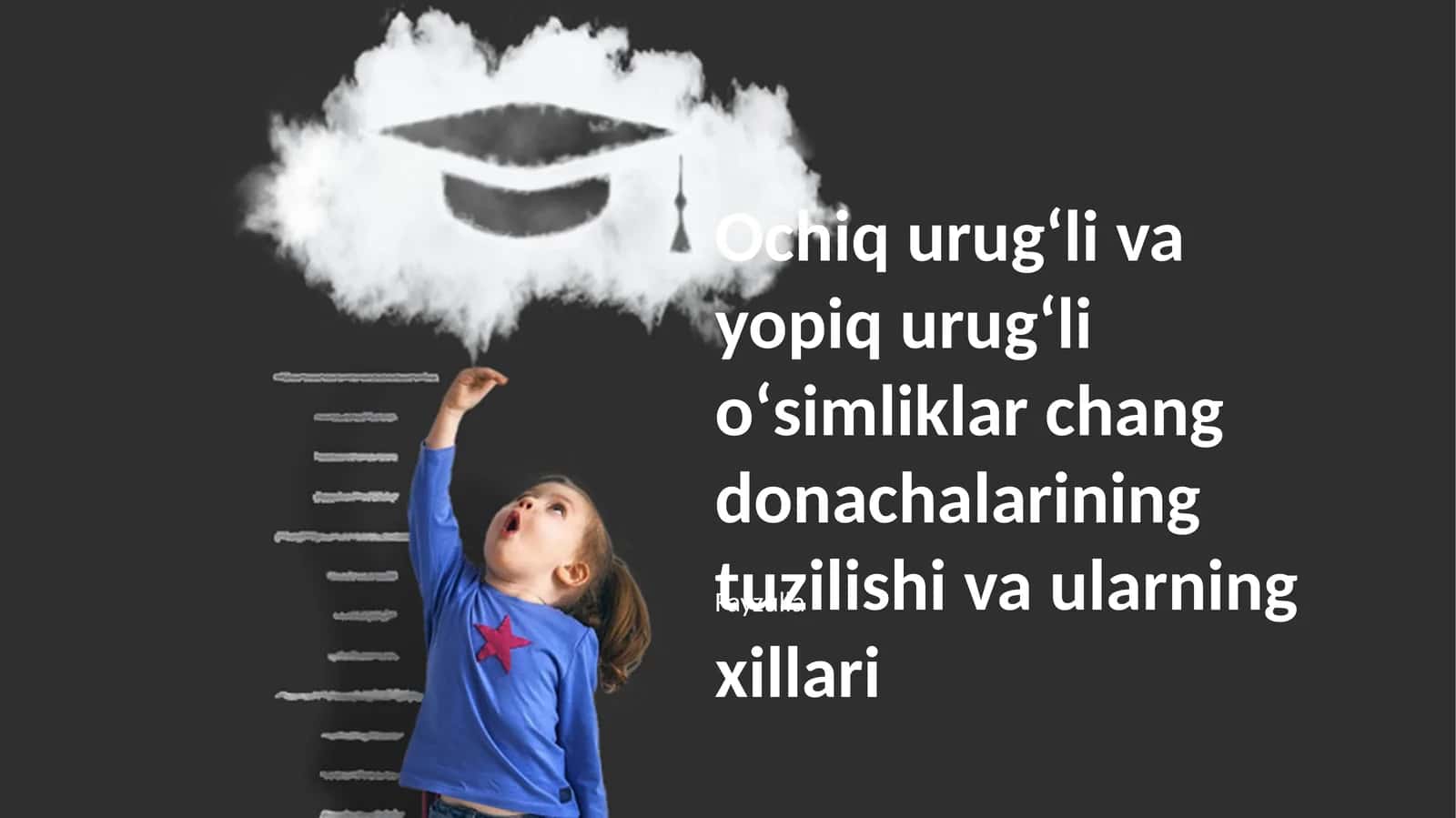 Chang donalarining tuzilishi va xillari