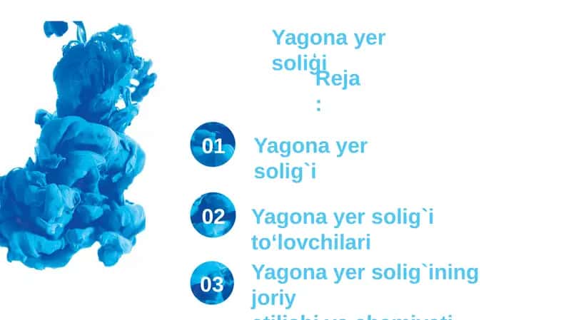 Yagona yer soliģi