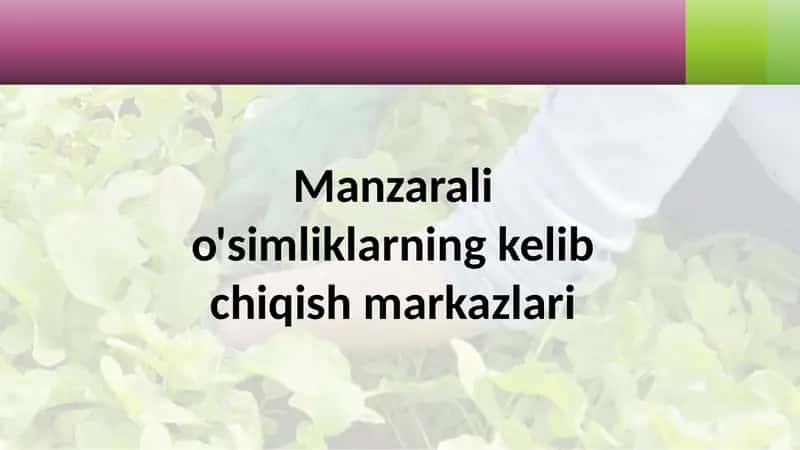 Manzarali o'simliklarning kelib chiqish markazlari