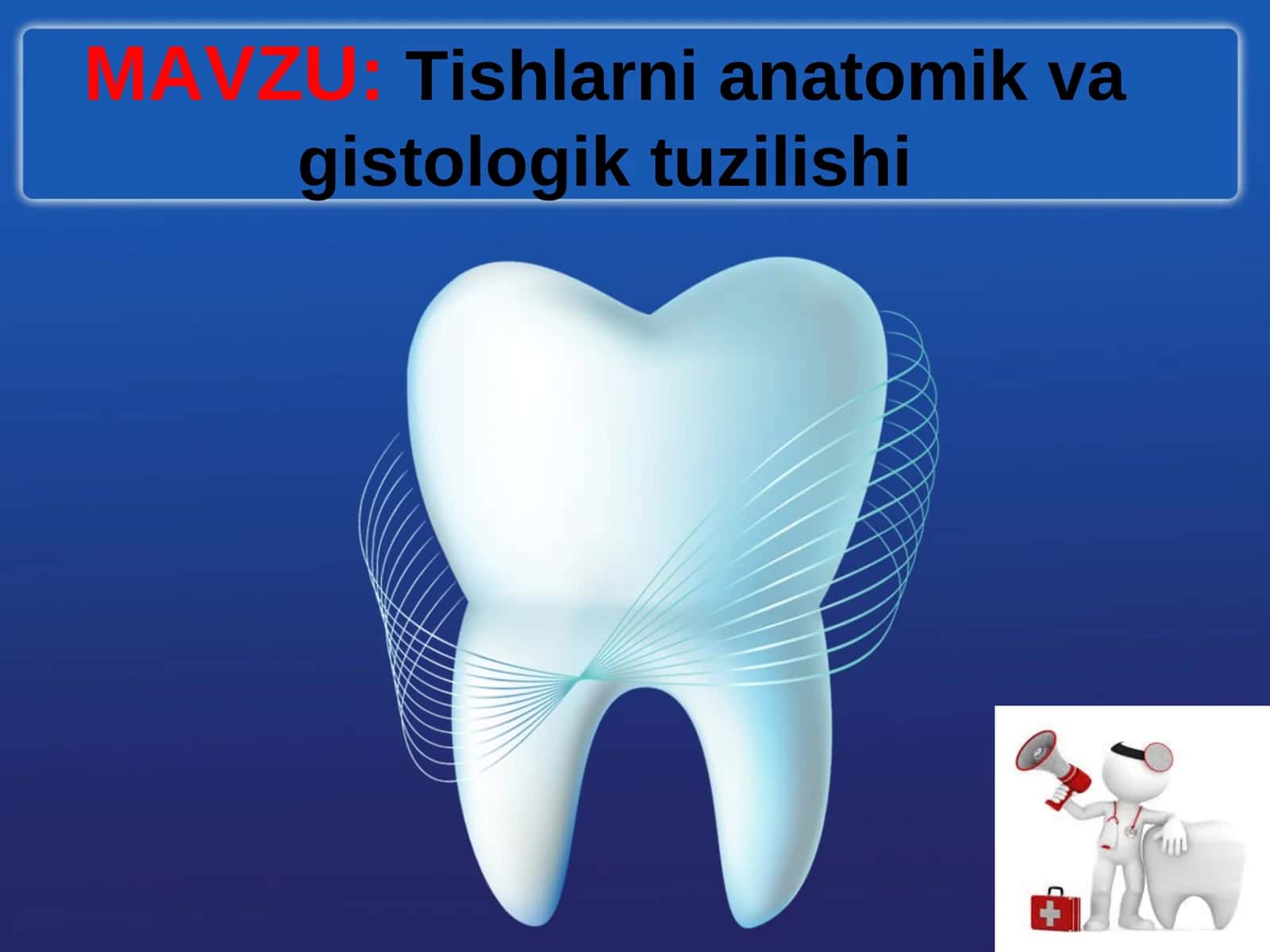 Tishlarning anatomik va gistalogik tuzilishi slayd prezintatsiya taqdimot mustaqil ish