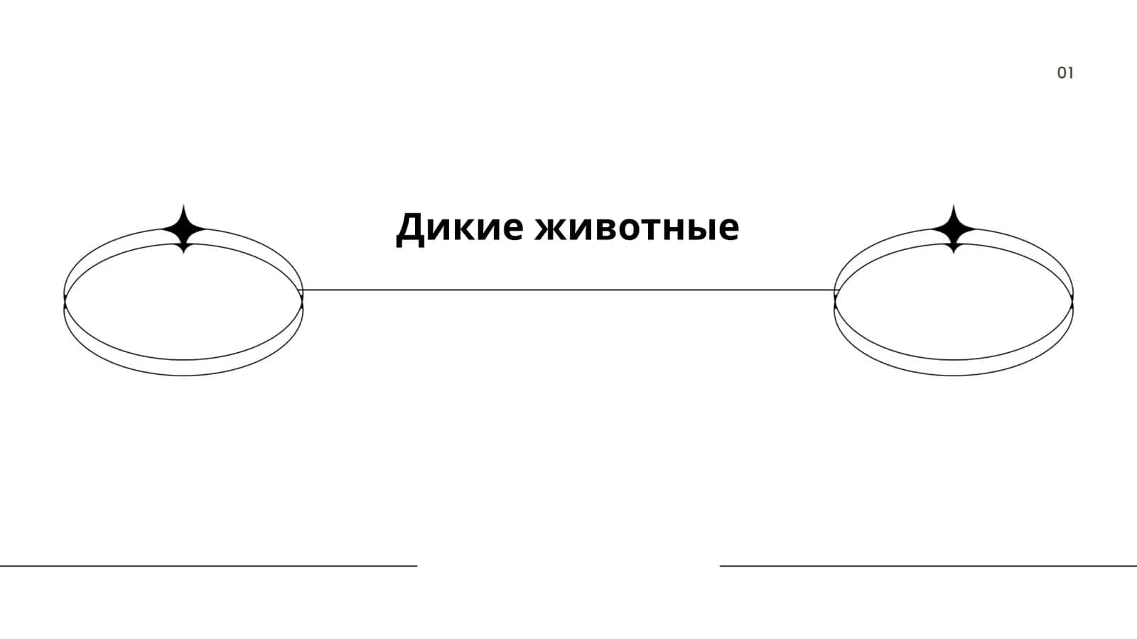 Дикие животные