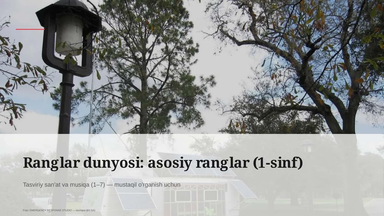 Ranglar dunyosi: asosiy ranglar (1-sinf)