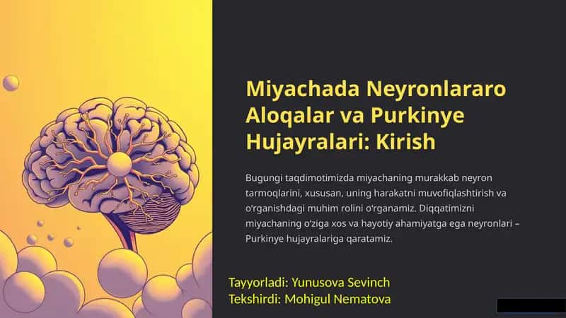 Miyachada Neyronlararo Aloqalar va Purkinye Hujayralari: Kirish