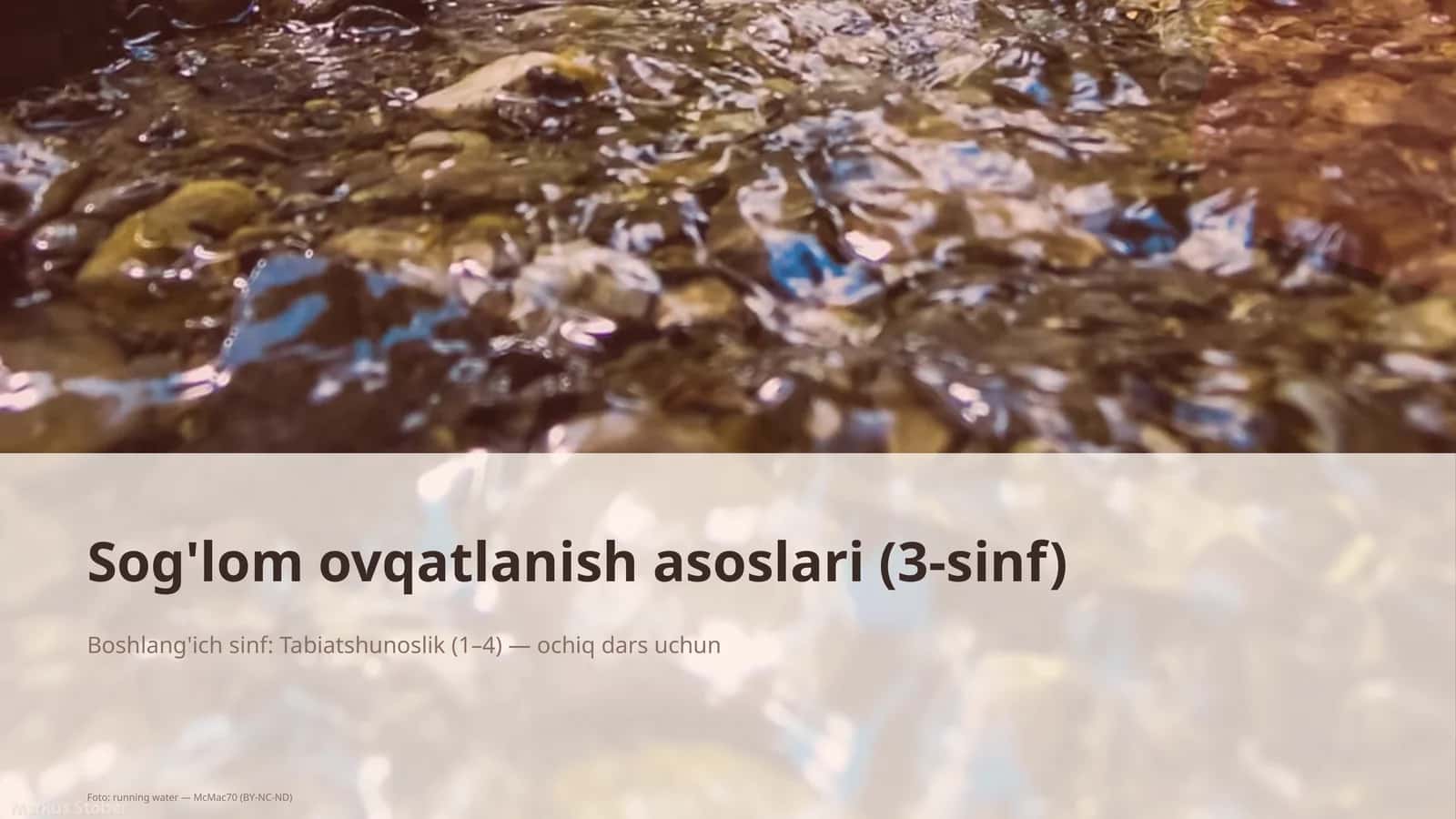 Sog'lom ovqatlanish asoslari (3-sinf)