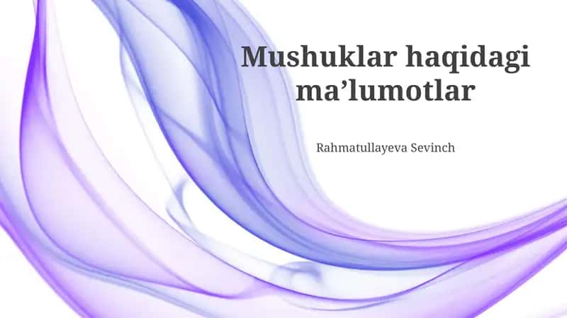 Mushuklar haqidagi maʼlumotlar
