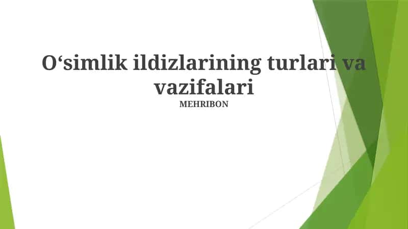 Oʻsimlik ildizlarining turlari va vazifalari
