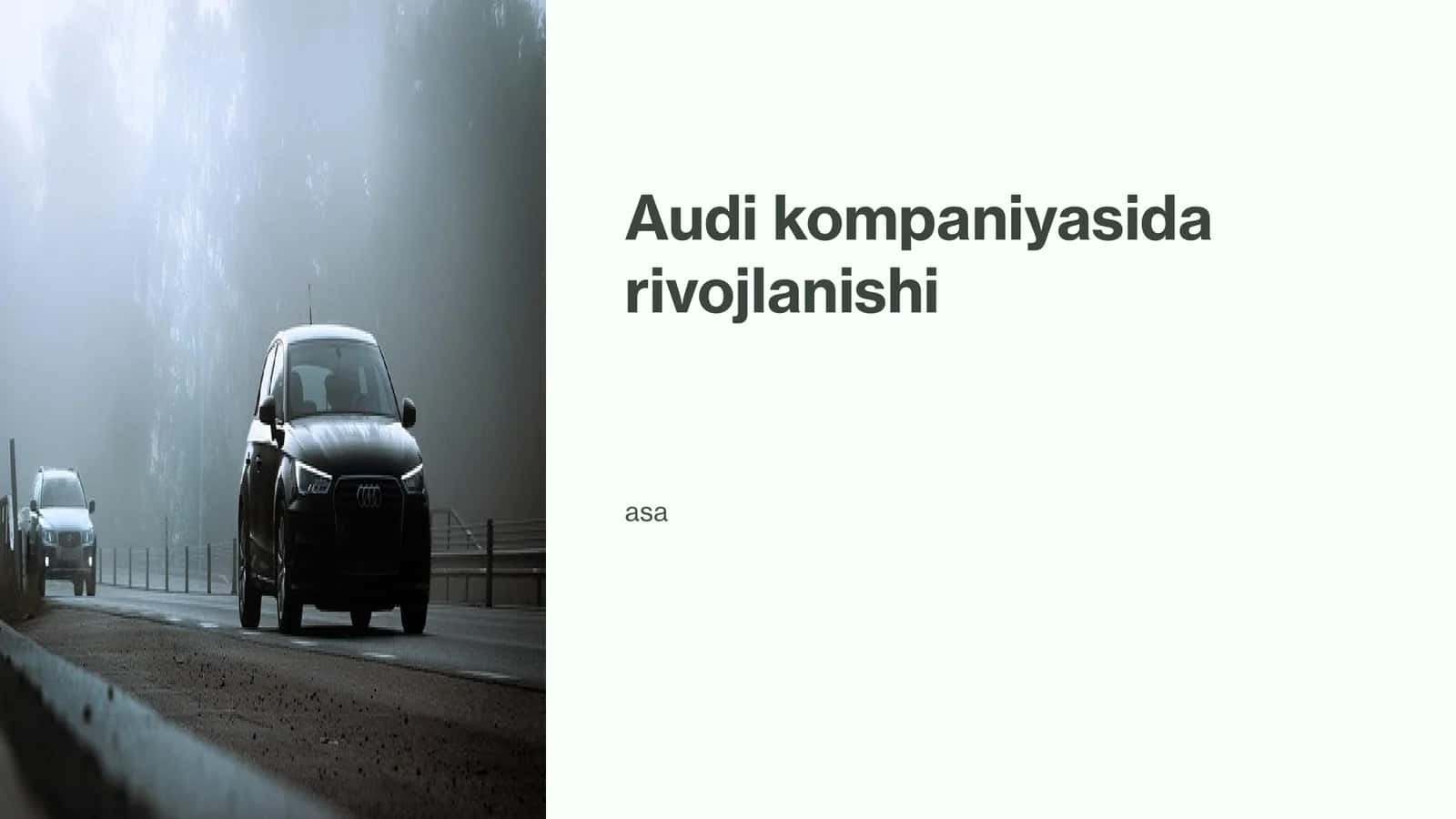Audi kompaniyasi