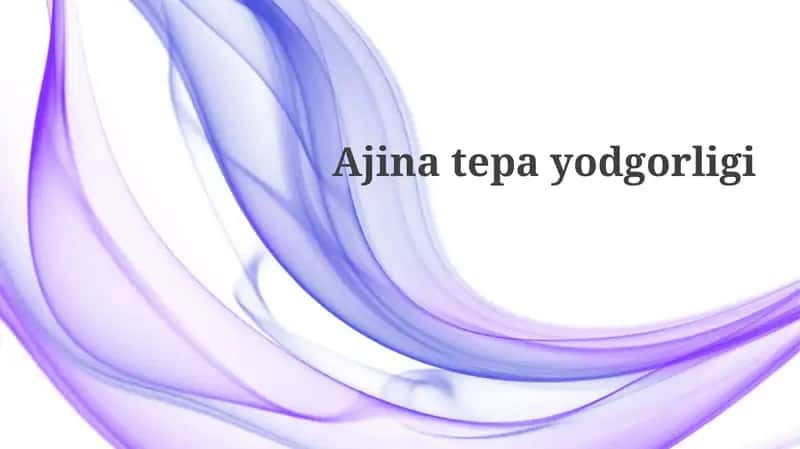 Ajina Tepa Muzeyi