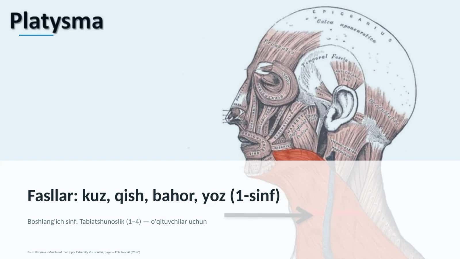 Tabiatshunoslik (1–