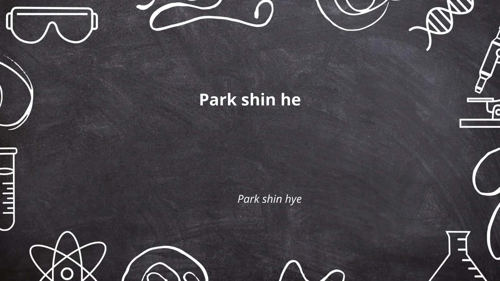 Park Shin Hye