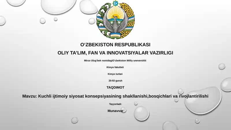 Kuchli ijtimoiy siyosat konsepsiyasi