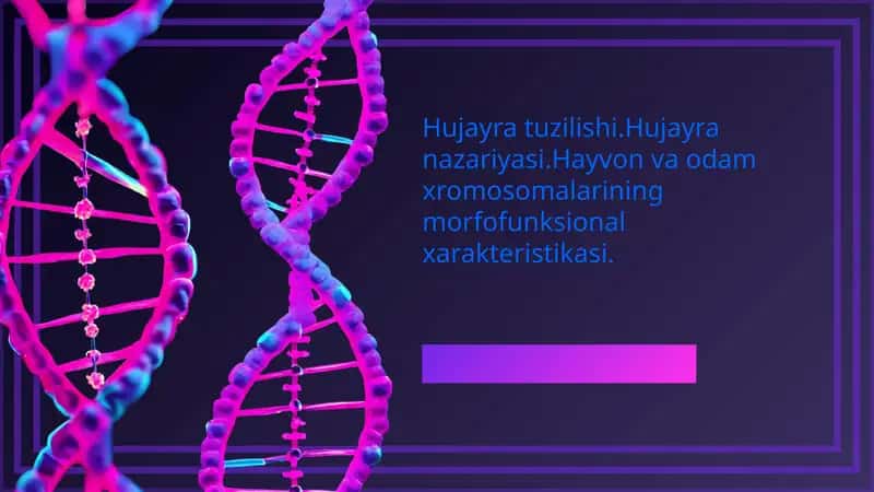 Hujayra tuzilishi. Hujayra nazariyasi. Hayvon va odam xromosomalarining morfofunksional xarakteristikasi.