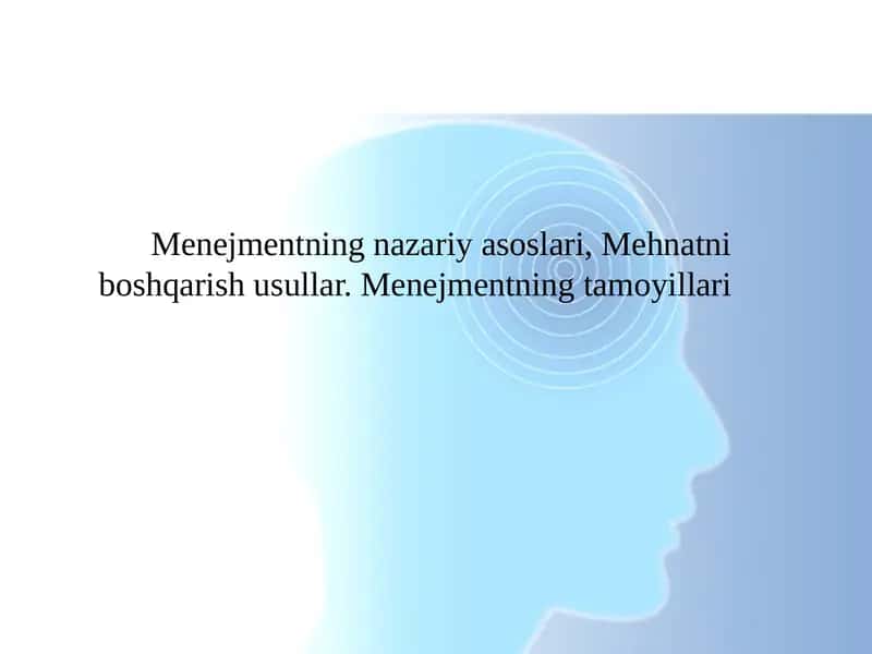 Menejmentning nazariy asoslari, Mehnatni boshqarish usullar. Menejmentning tamoyillari