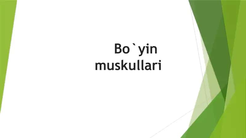 Bo`yin muskillari