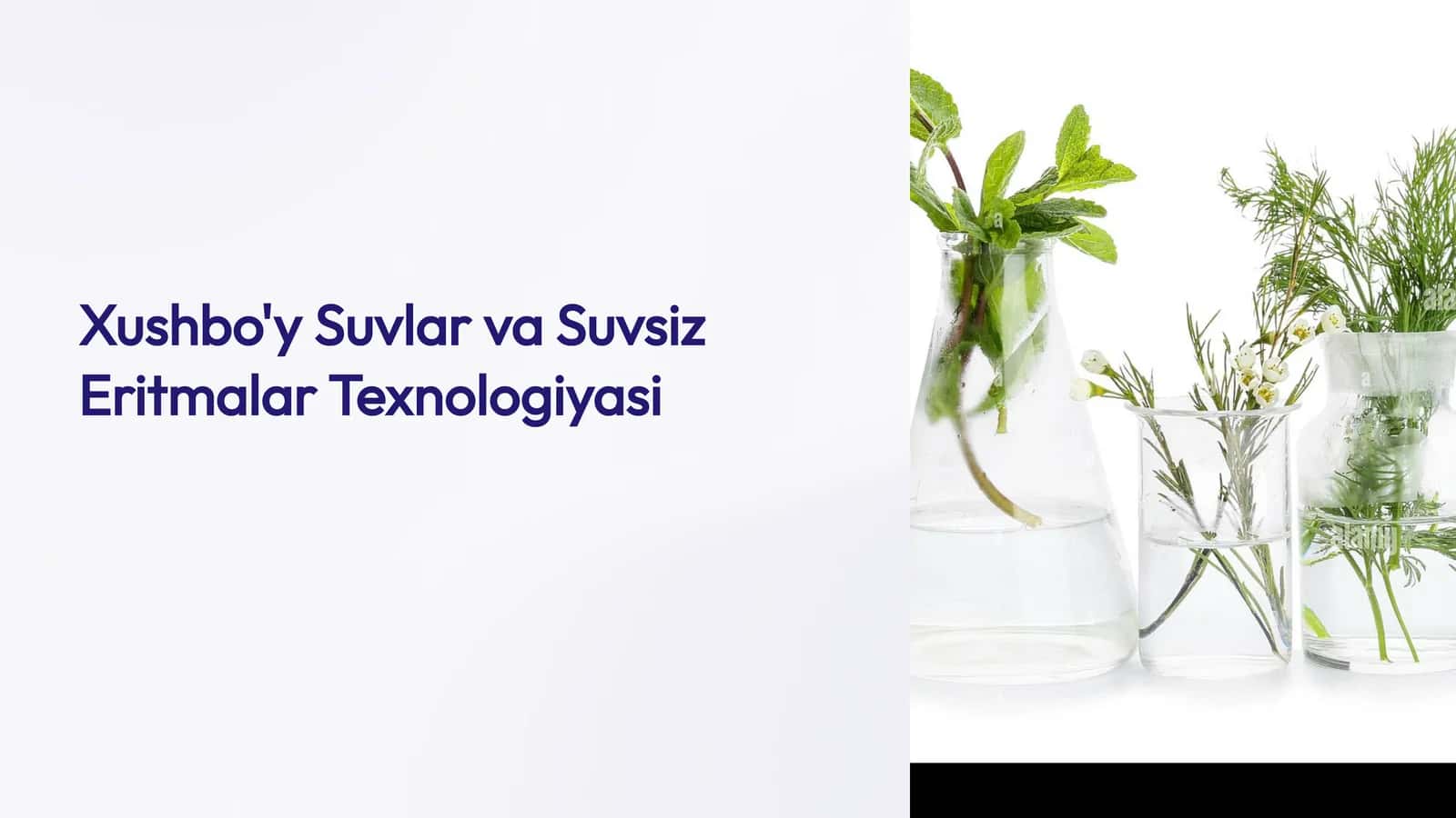 Xushbo'y Suvlar va Suvsiz Eritmalar Texnologiyasi