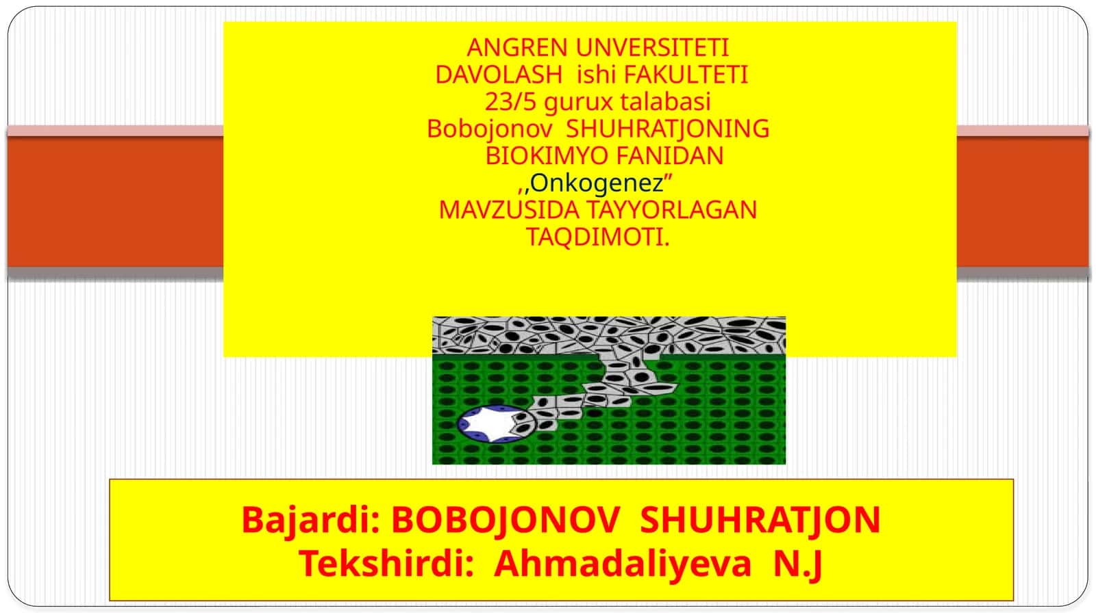 Onkogeneznima?.Onkogenezningbosqichlari: