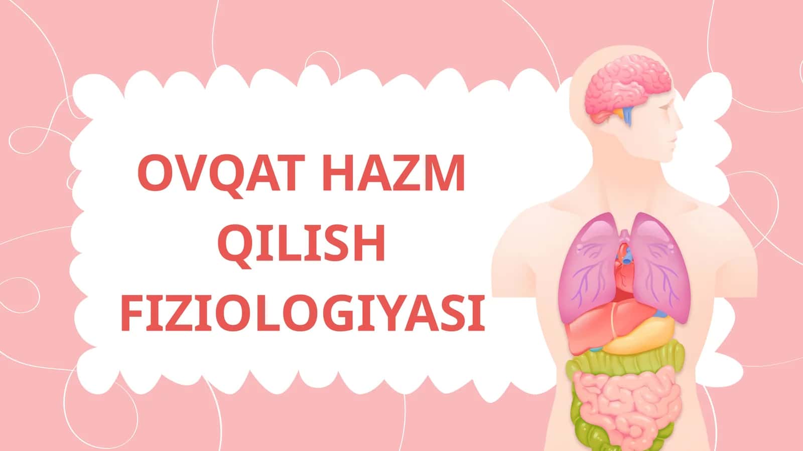 OVQAT HAZM QILISH FIZIOLOGIYASI