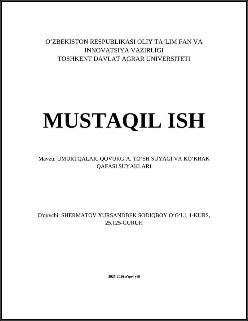 Tipik umurtqaning osteologiyasi