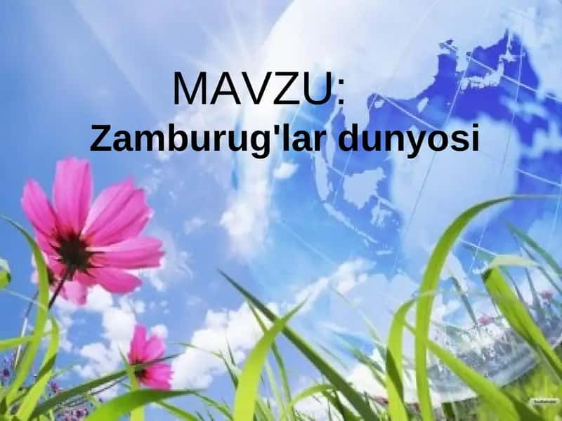 Zamburug'lar dunyosi