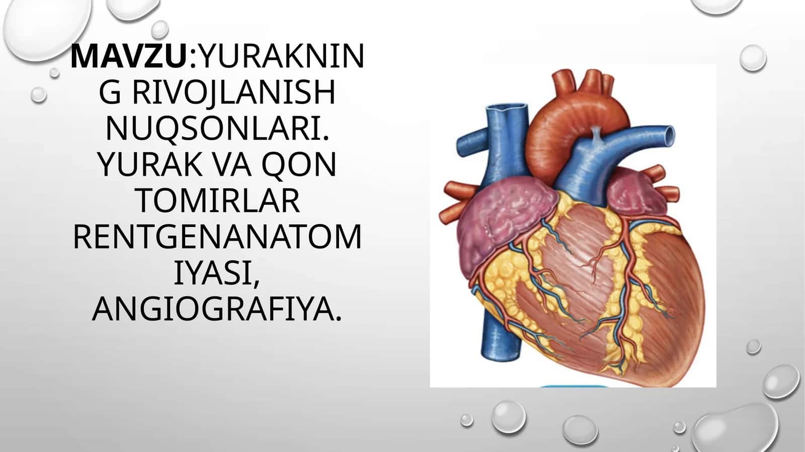 Yurakning rivojlanish nuqsonlari. Yurak va qon tomirlar rentgenanatomiyasi, angiografiya