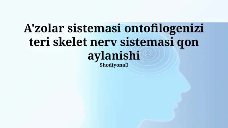 Ontofilogenez