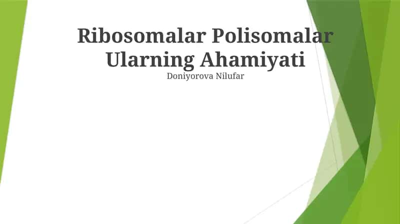 Ribosomalar Polisomalar Ularning Ahamiyati