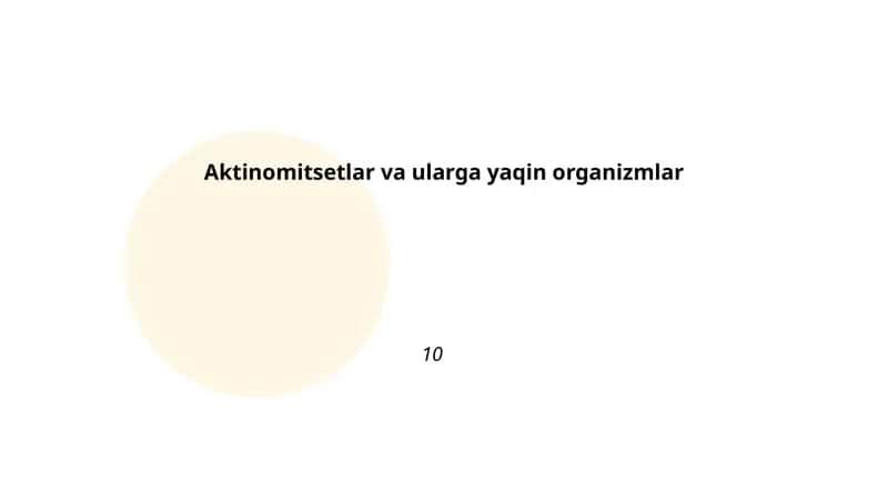 Aktinomitsetlar va ularga yaqin organizmlar