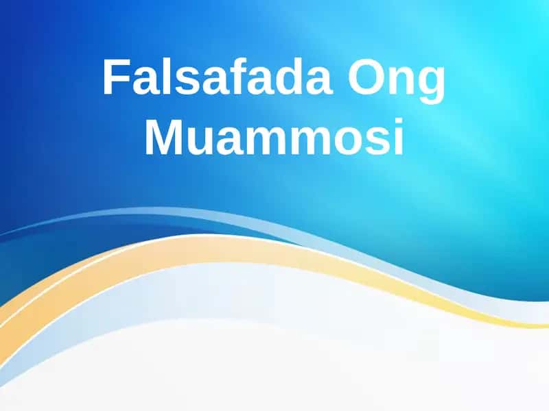 Falsafada Ong Muammosi