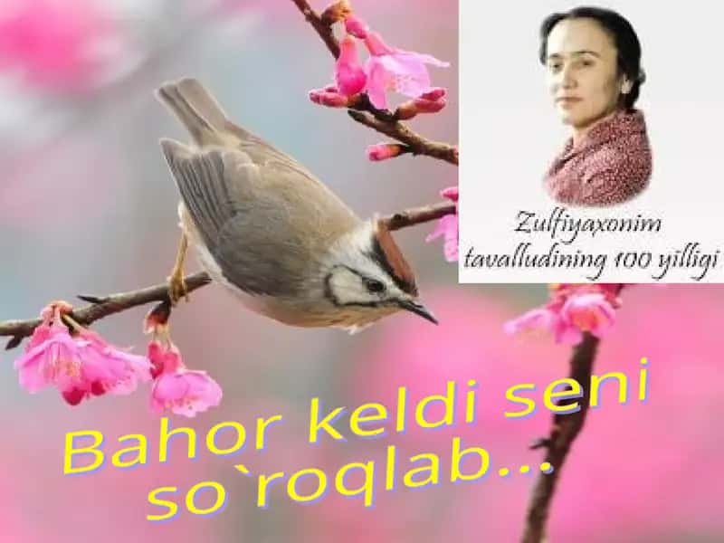 Zulfiyahayoti va ijodi