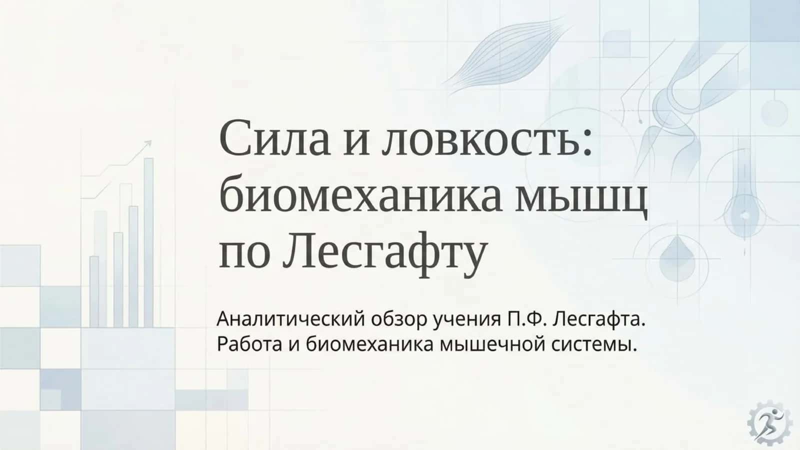 биомеханика мышц