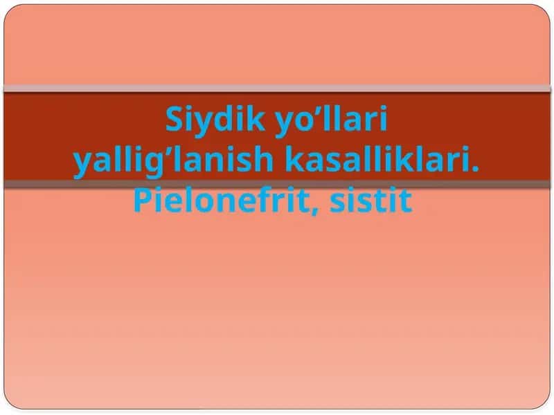 Pielonefrit