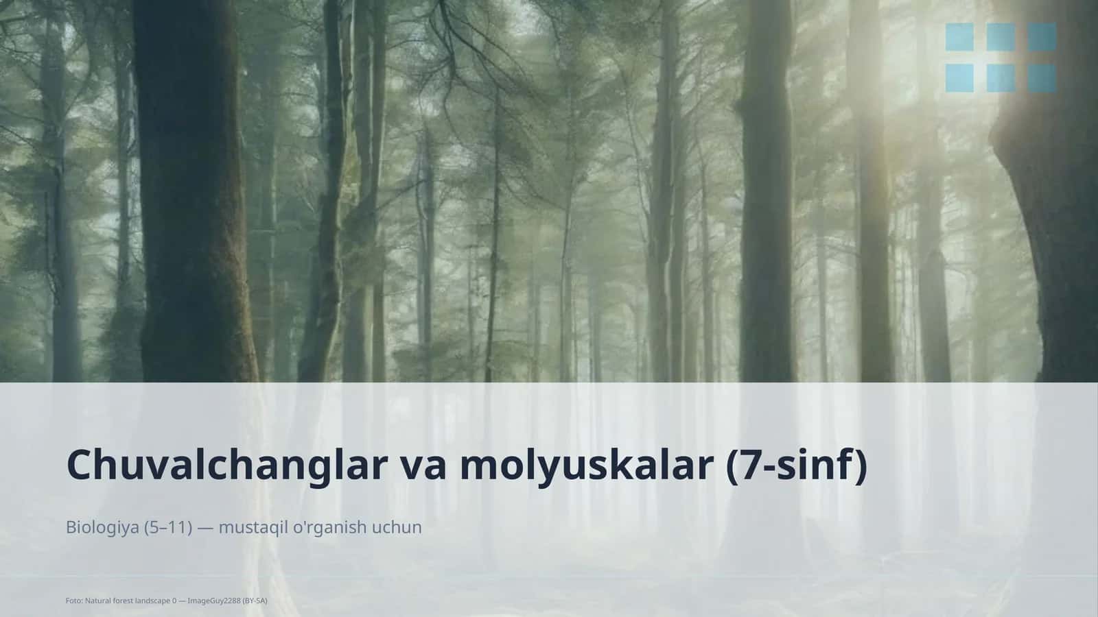 Chuvalchanglar va molyuskalar (7-sinf)