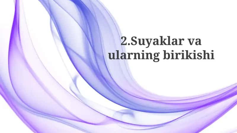 Suyaklarvaularningbirikishi