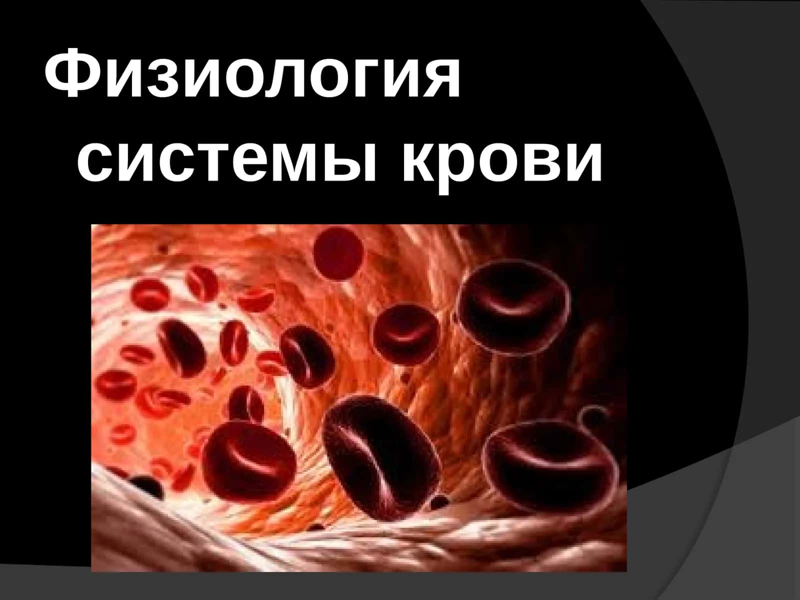 Физиология системы крови