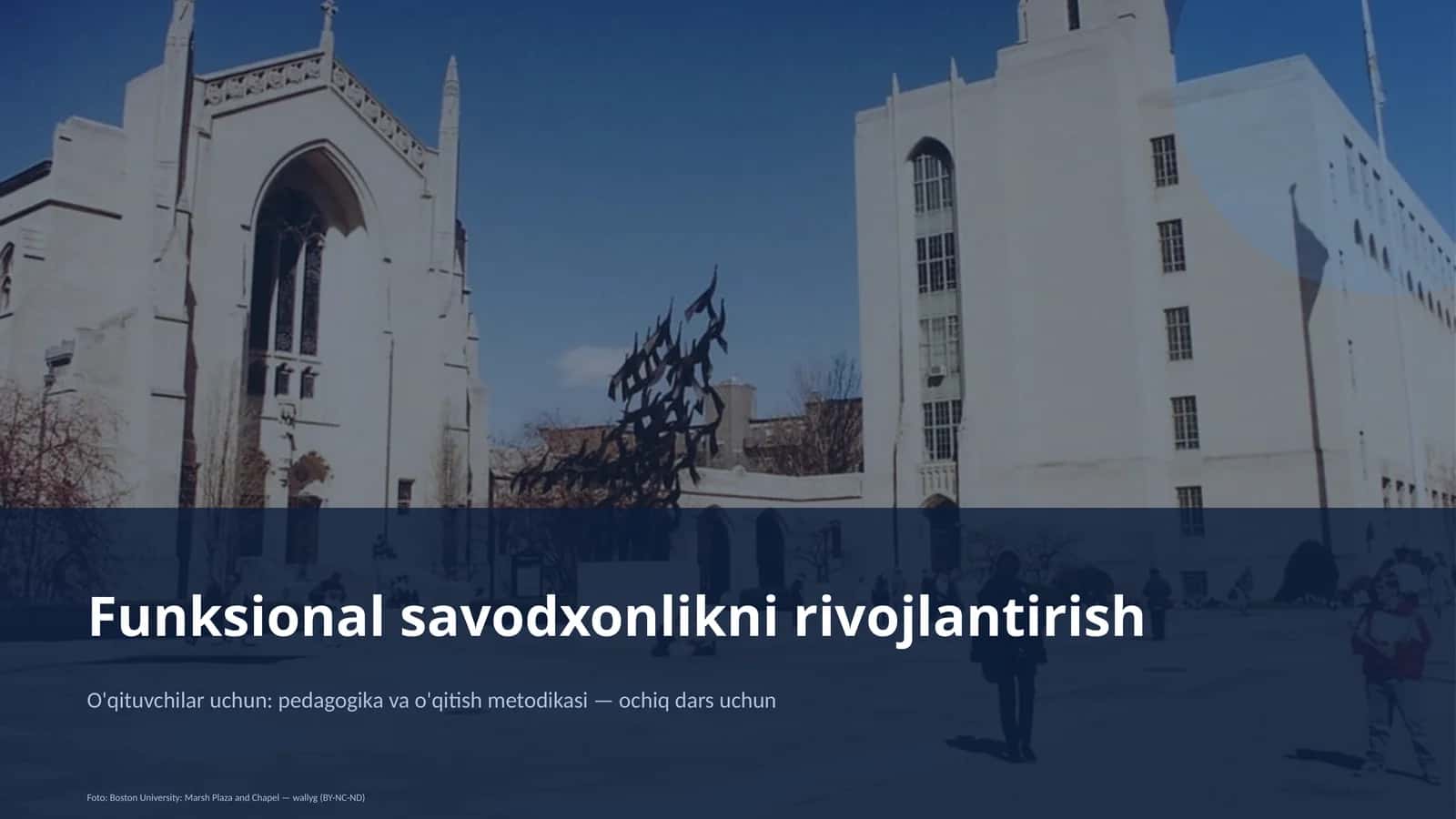 Funksional savodxonlikni rivojlantirish