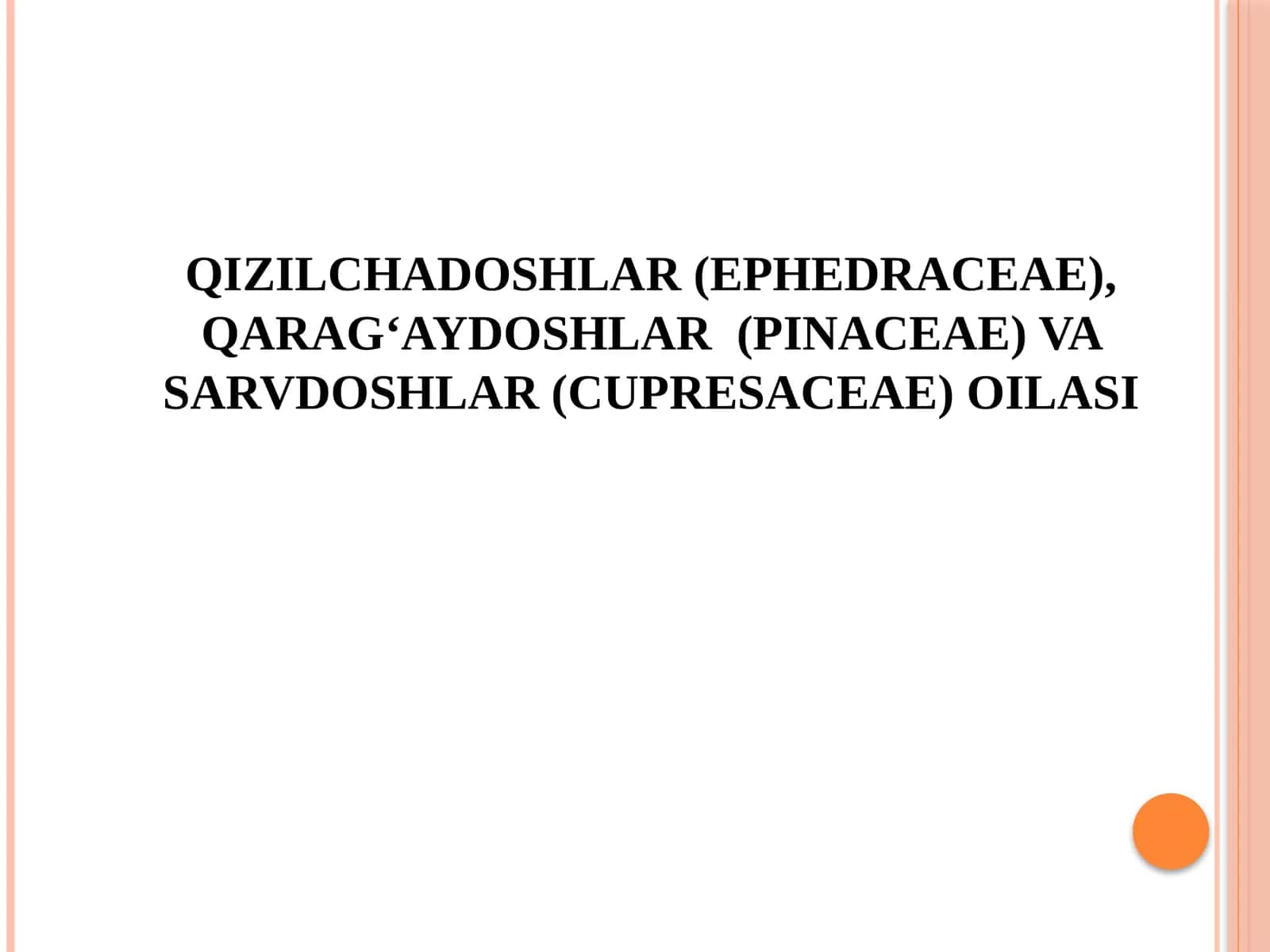 QIZILCHADOSHLAR (EPHEDRACEAE), QARAG‘AYDOSHLAR (PINACEAE) VA SARVDOSHLAR (CUPRESACEAE) OILASI