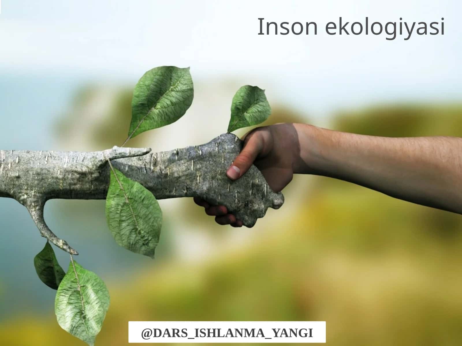 Inson  ekologiyasi