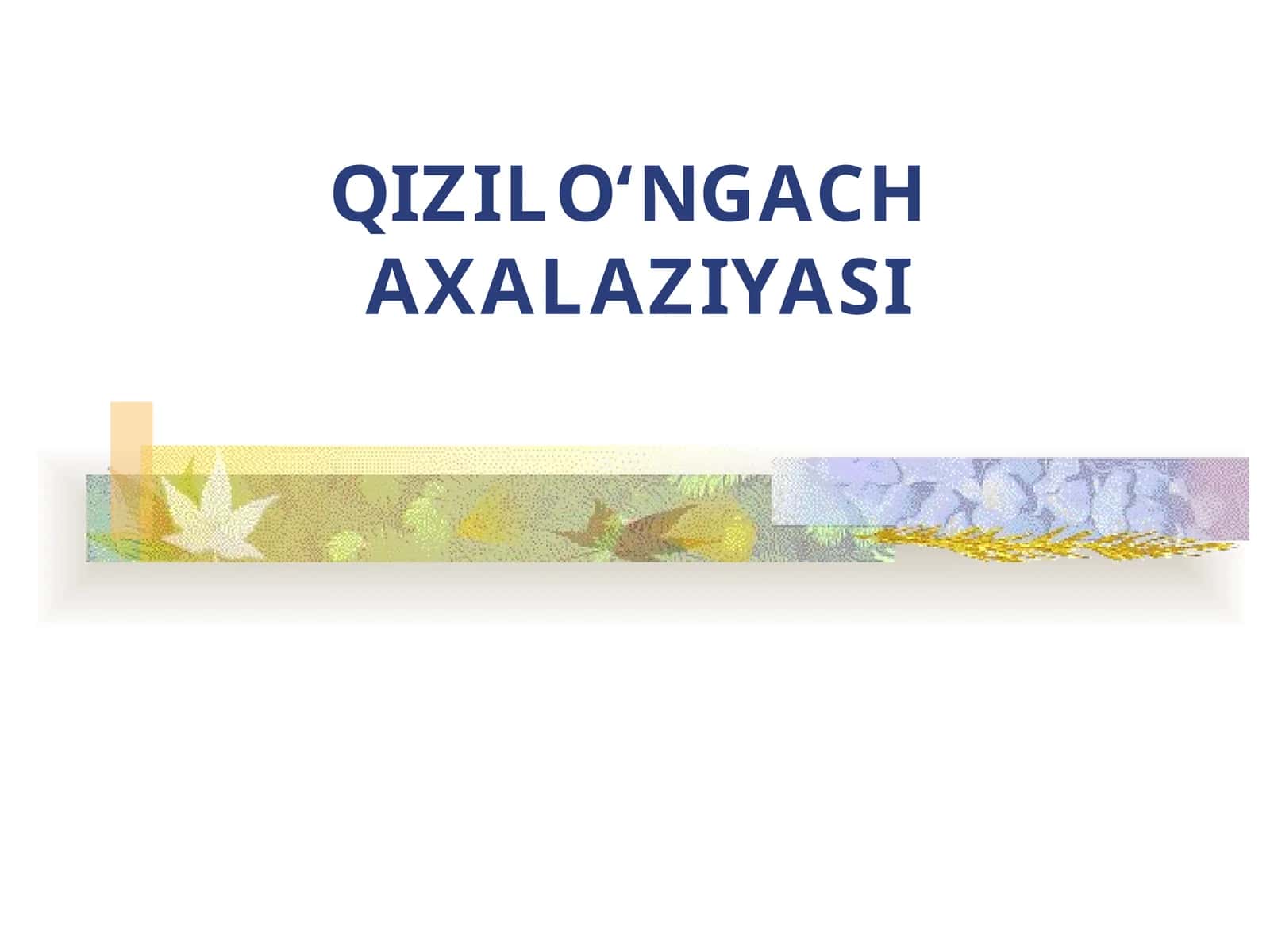 QIZILO‘NGACH AXALAZIYASI