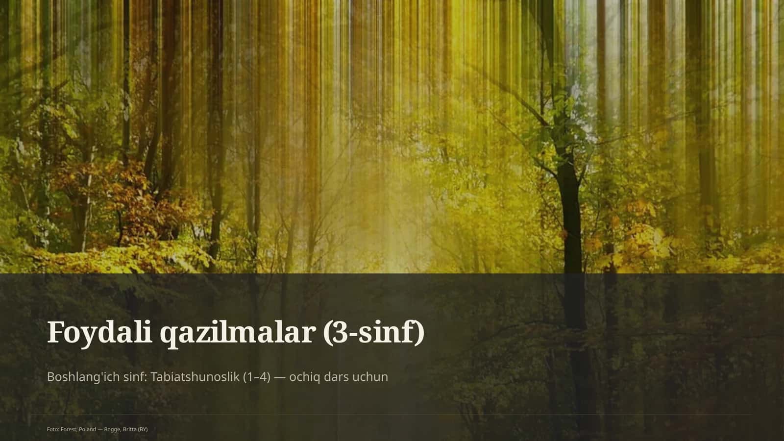 Foydali qazilmalar (3-sinf)