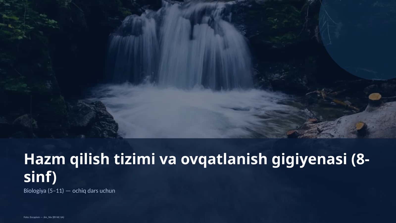 Hazm qilish tizimi va ovqatlanish gigiyenasi (8-sinf)